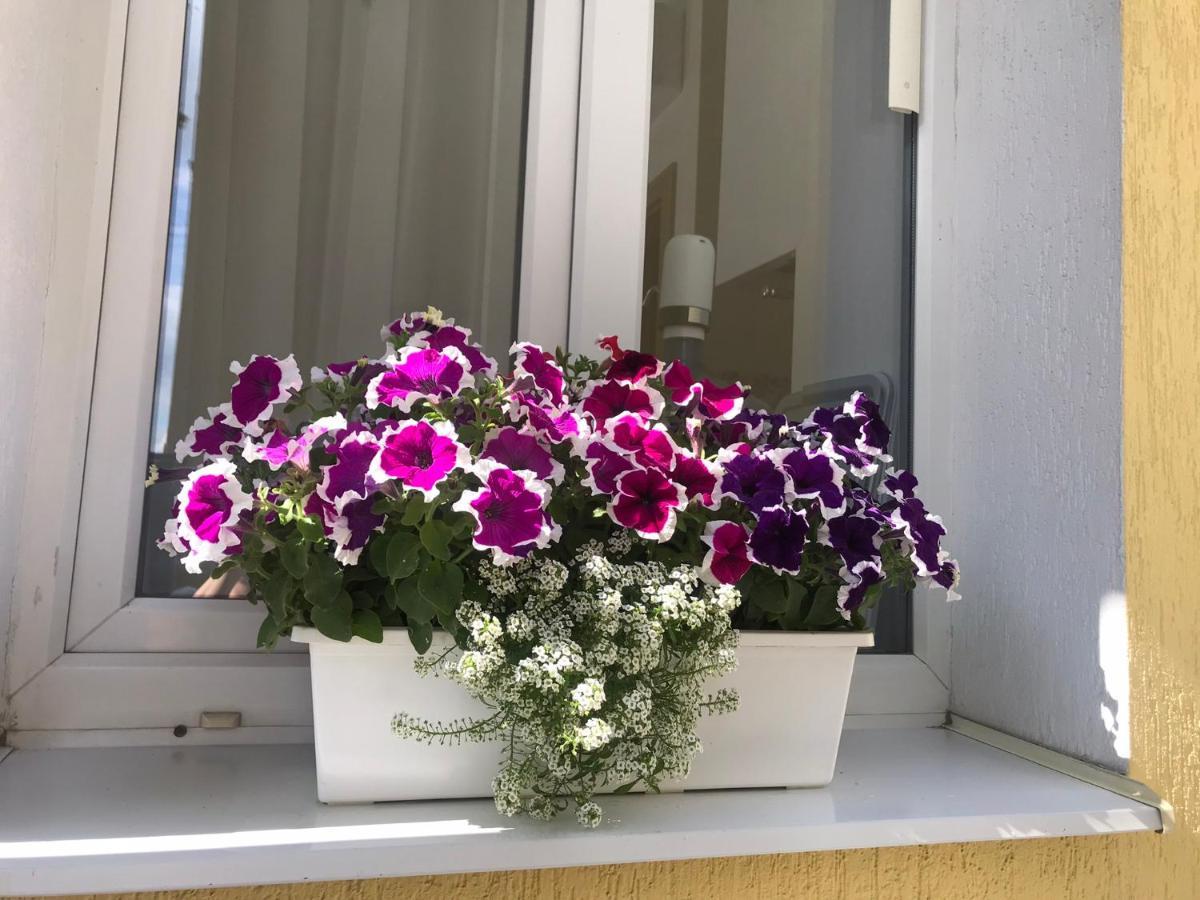 Villa Sofi 리비프 외부 사진